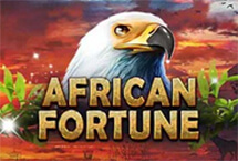 AFRICAN FORTUNE