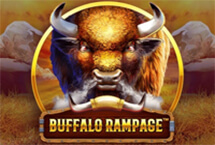 BUFFALO RAMPAGE